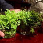 バーリゼルヴァ - 