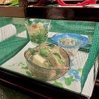 隠れ里車屋 - 