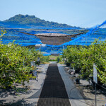 ブルーベリーファームおかざき - 