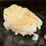 鮨 木場谷 - 氷見の赤イカ