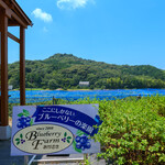 ブルーベリーファームおかざき - 