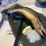 Honmaguro to Sosaku Washoku Ginjo Kuraudo Marutamachi Honten