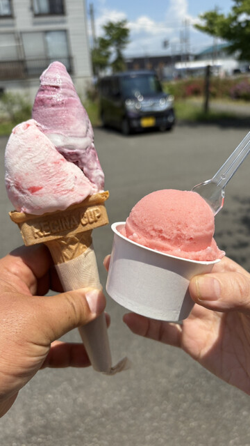 ジェラート工房 ヤミー （Yummy） - 浦佐/ジェラート・アイスクリーム