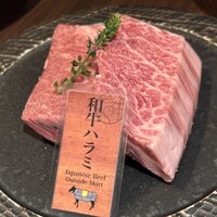 和牛焼肉 やくにく 路地裏 - 