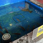 漁師料理 かつら亭 - 
