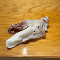 高柿の鮨 - 