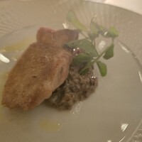 TRATTORIA PIZZERIA 207 渋谷店 - 