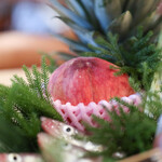 Itsuki - ２０２５年７月再訪：本日の食材☆