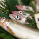 Itsuki - ２０２５年７月再訪：本日の食材☆