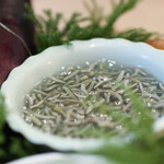 Itsuki - ２０２５年７月再訪：本日の食材☆