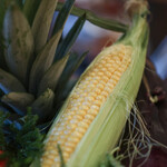 Itsuki - ２０２５年７月再訪：本日の食材☆