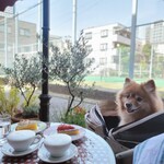 Brasserie la Maison - カフェの泡までお見事。ケーキも美しく美味しい。