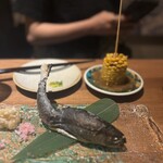 三茶 ユキツバキ - 