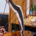 う嵐 - 2025.7 白焼きにする600gの個体