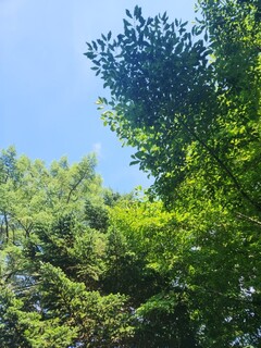 Prince Hotel Karuizawa Uesuto