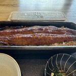 うなぎ四代目 菊川 - 鰻１匹分