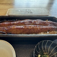 うなぎ四代目 菊川 恵比寿ガーデンプレイス店 - 鰻１匹分