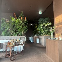 l'elan - 