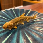 旬彩天 つちや - 