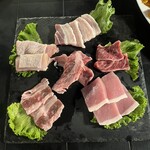 TERRACE GARDEN 8848 - 