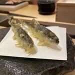鮨と天ぷら からす - 