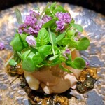 銀座焼とり 京丹波 - 鶏刺しアップ