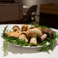 SINAE - 