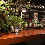 ビストロ キャトルズ - カウンター席