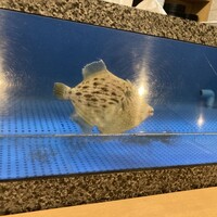 磯料理　まるけい - 