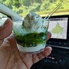 杉養蜂園 阿蘇みつばち牧場