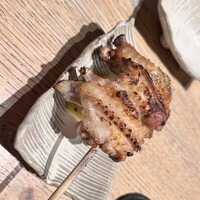 鳥カミ - 