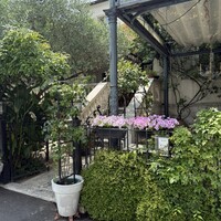 表参道バンブー - 