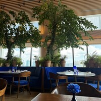 The Blue Room - 