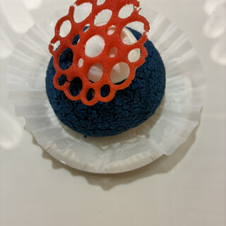 シューアラクレーム カプリ_0