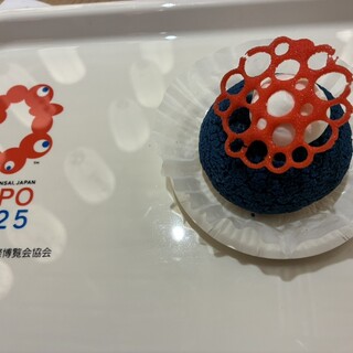 シューアラクレーム カプリ_1