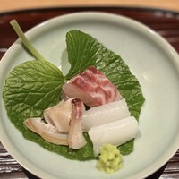 筒井 清寂 - 