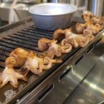 ミリネヤンコプチャン - 彼らを並べてみる