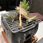 青山 星のなる木 - 