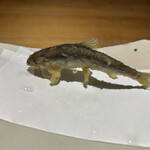 天満橋 藤かわ - 