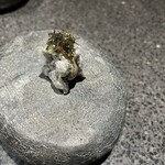 アニエルドール - ライスペーパー　貝と小芋のピュレ