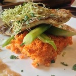 Cafe Iguana  - Grilled sea bass w/ asparagus and freshly minced carrot