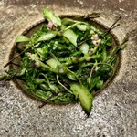 アニエルドール - 和歌山すさみケンケン鰹とアスパラガス、コリアンダー、つる紫揚げ　発酵バターに鰹出汁ソースかけ