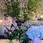 DRAWING HOUSE OF HIBIYA - 