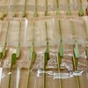 藤見屋 - 