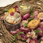 ラトラスフィス - 