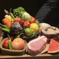 オッジ ダルマット 西麻布店 - 