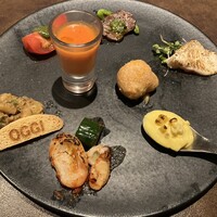 オッジ ダルマット 西麻布店 - 