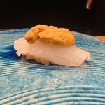 鮨shizuku 西天満 - アオリイカの細切り(ウニのせ)