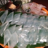 寅八商店 心斎橋店 - いかの活造り