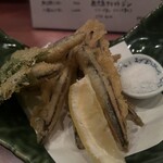 さつまやsegodon - 